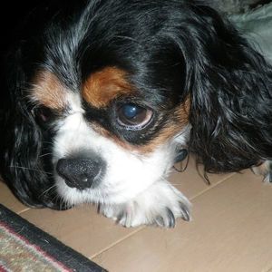 Meet your Posher, Sheri